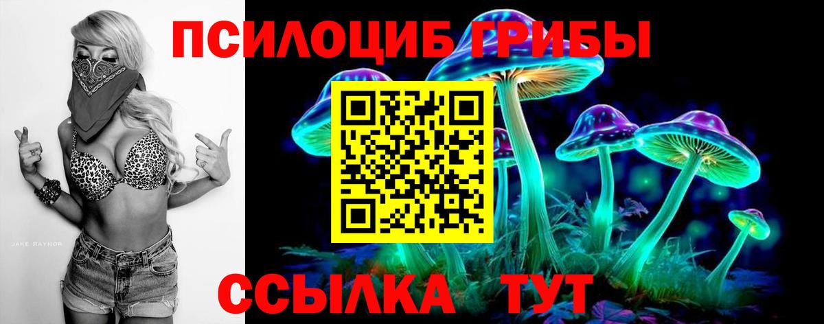 Псилоцибиновые грибы MAGIC MUSHROOMS Кимры