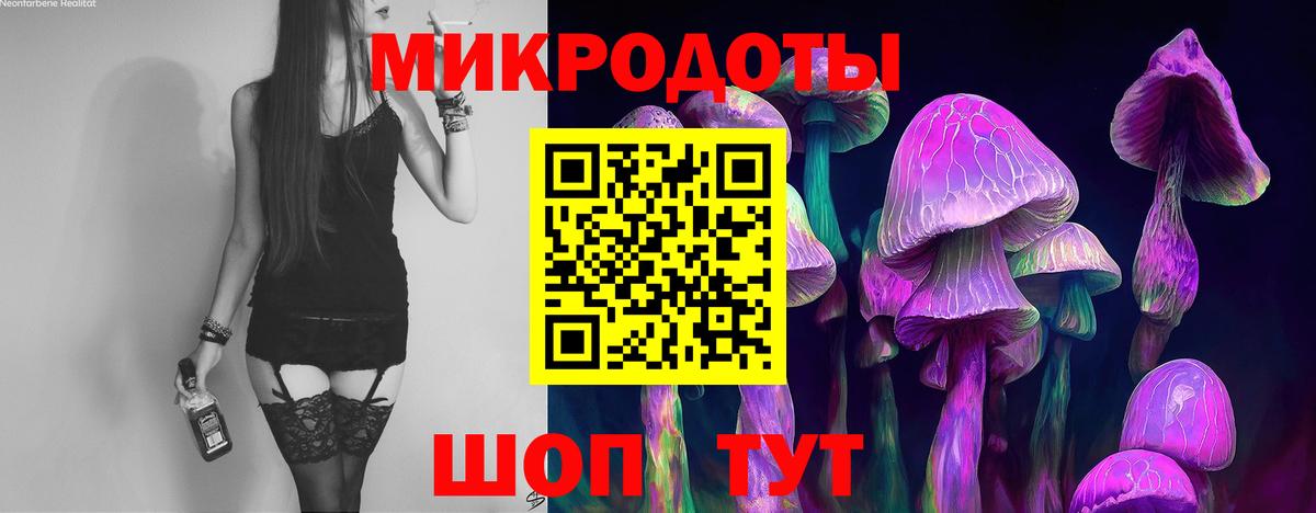 дарнет шоп  Вход с VPN  Кимры  Псилоцибиновые грибы MAGIC MUSHROOMS 